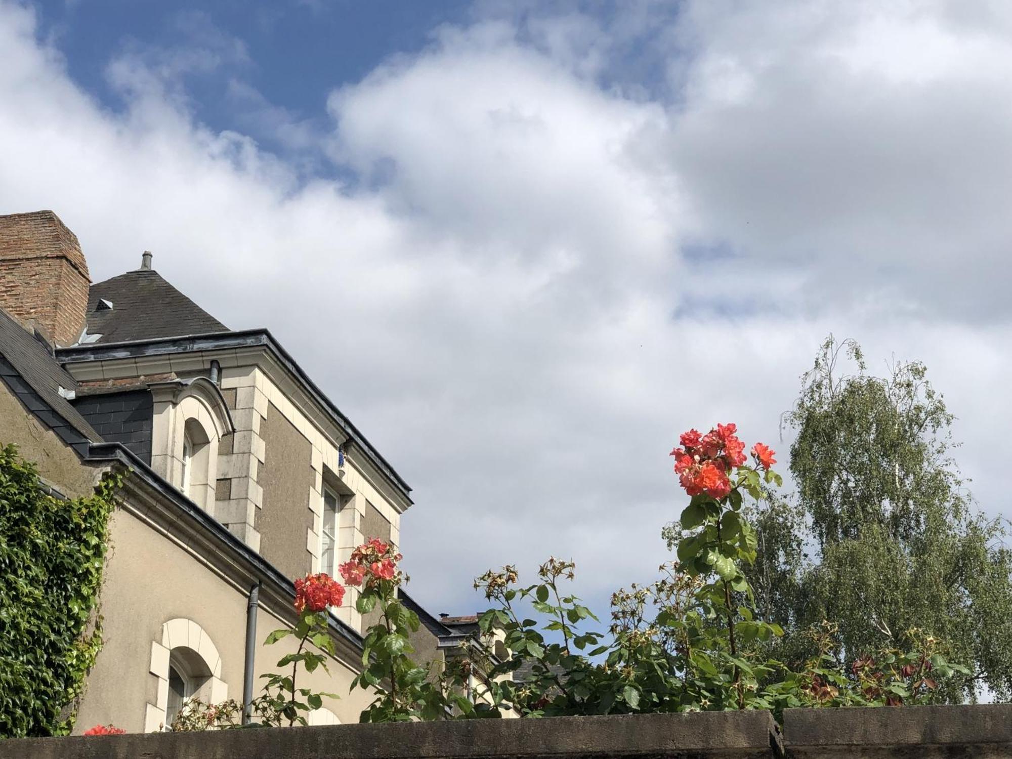 Maison Bout Du Monde Angers Hyper Centre Eksteriør billede